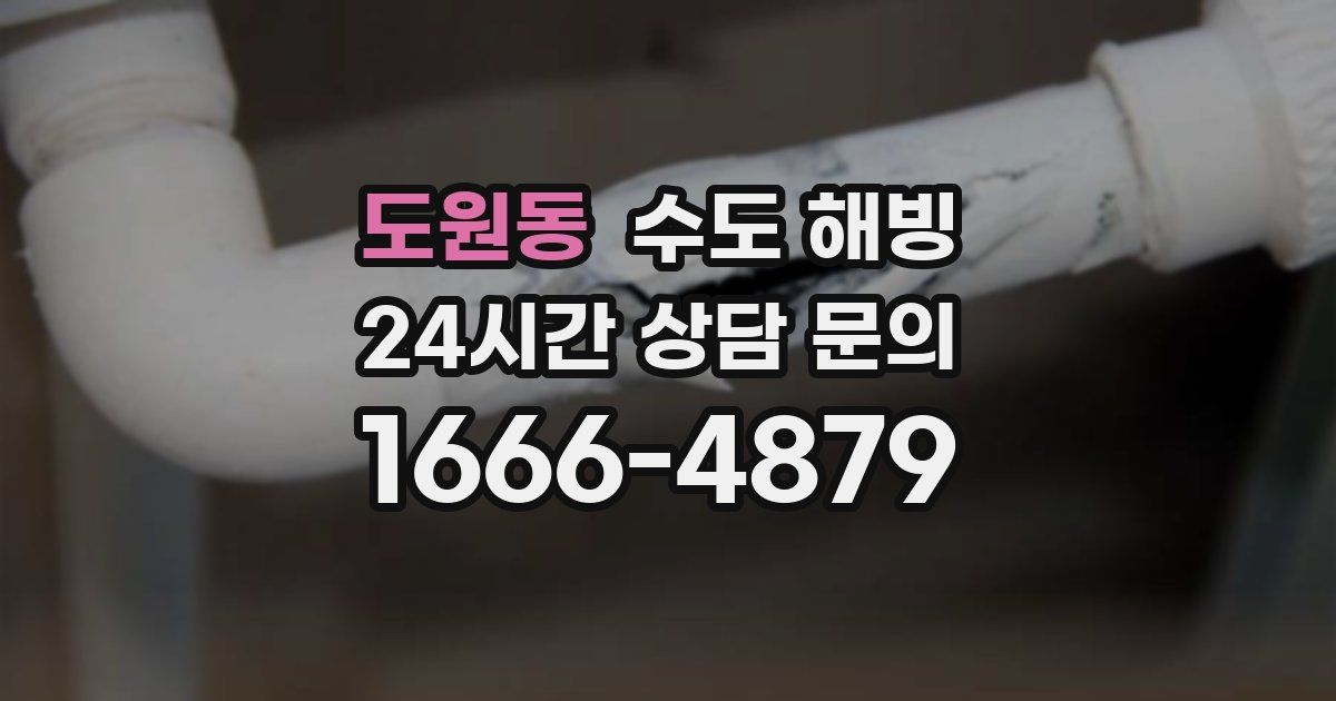 도원동 수도 해빙