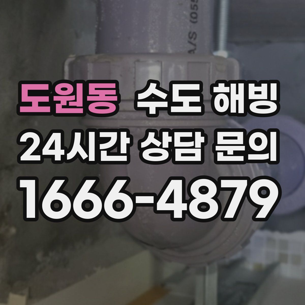 도원동 수도 해빙