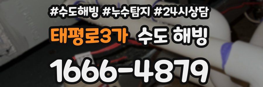 태평로3가 수도 해빙