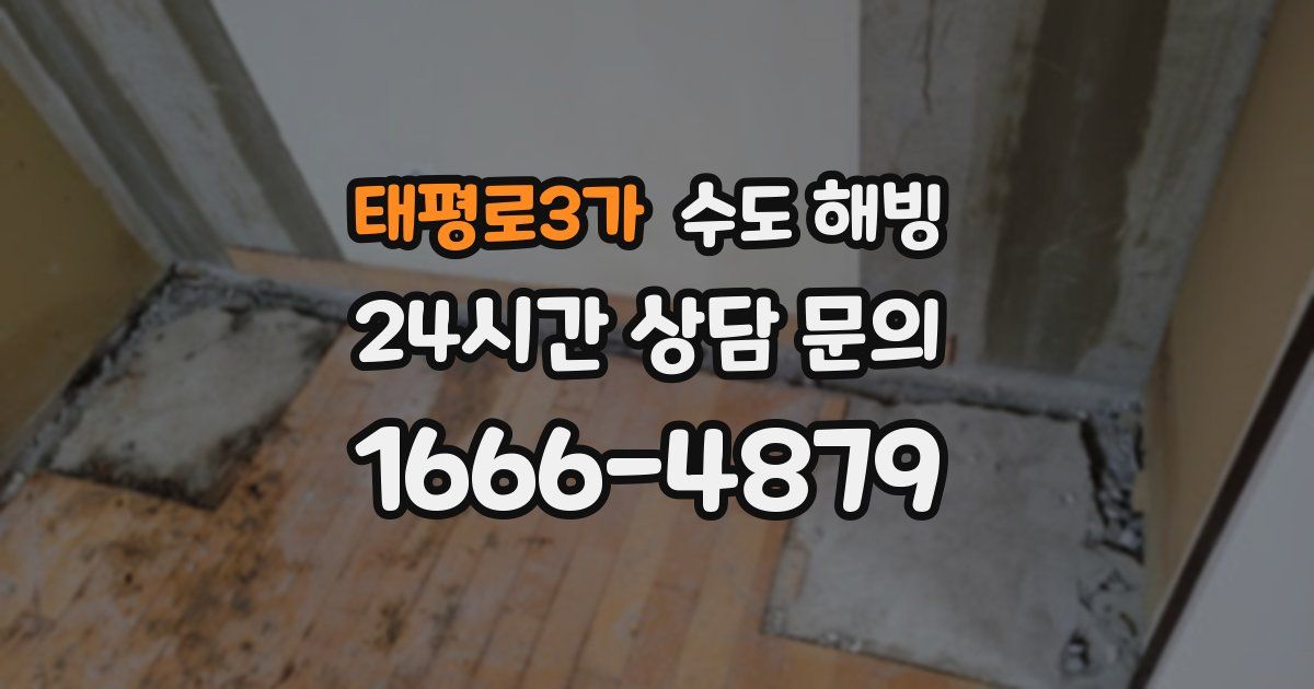 태평로3가 수도 해빙