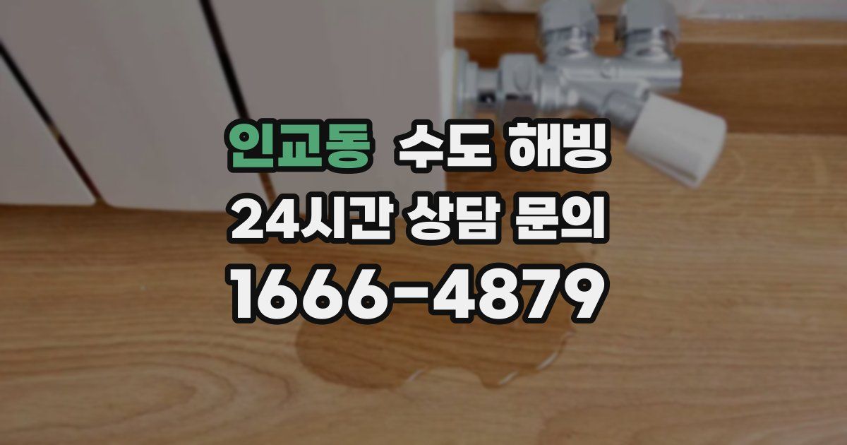 인교동 수도 해빙