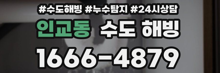 인교동 수도 해빙