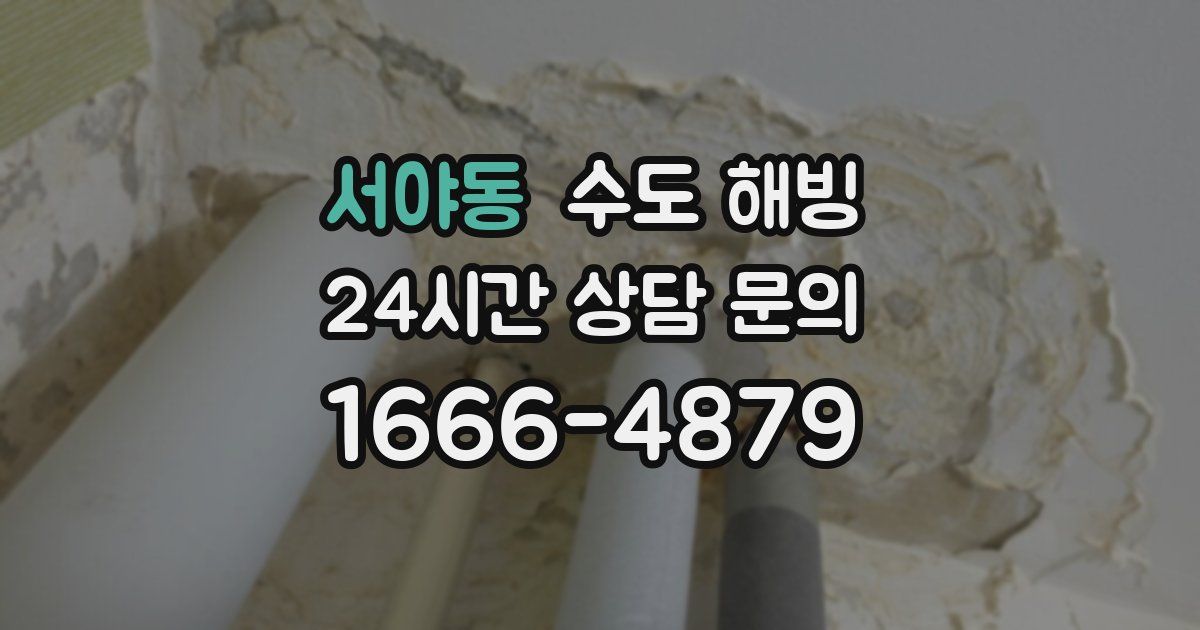 서야동 수도 해빙