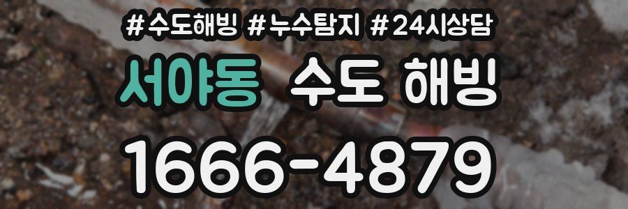 서야동 수도 해빙