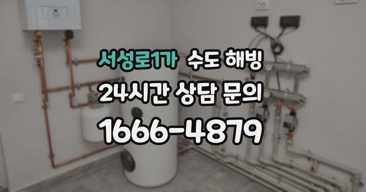 서성로1가 수도 해빙