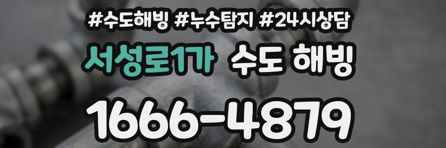 서성로1가 수도 해빙