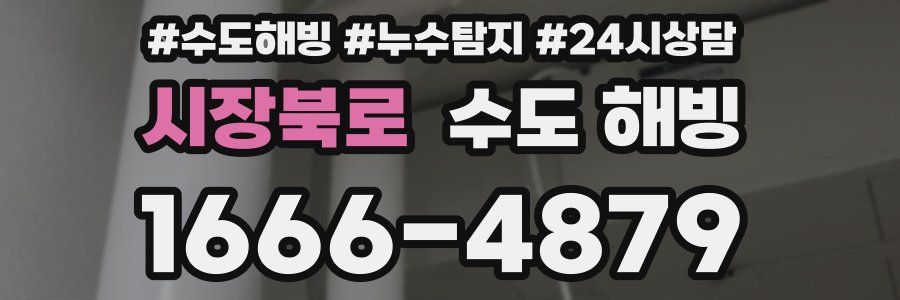 시장북로 수도 해빙