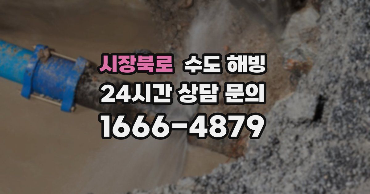 시장북로 수도 해빙