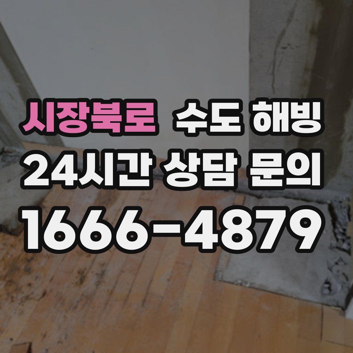 시장북로 수도 해빙