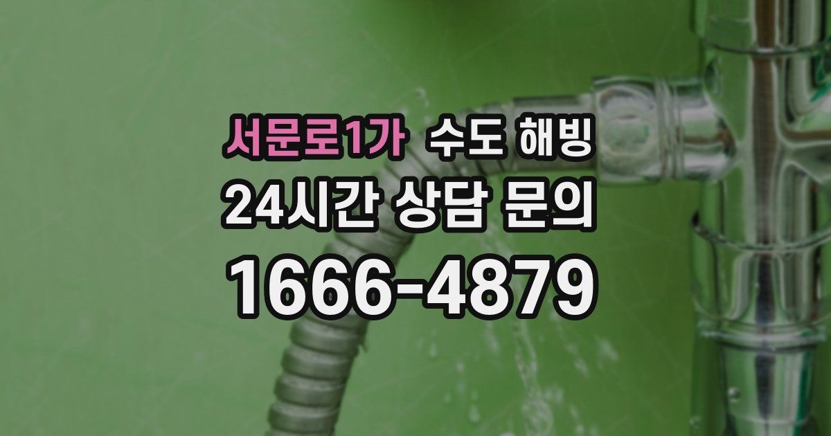 서문로1가 수도 해빙