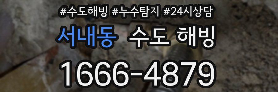 서내동 수도 해빙