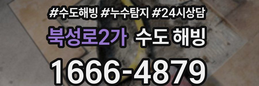 북성로2가 수도 해빙