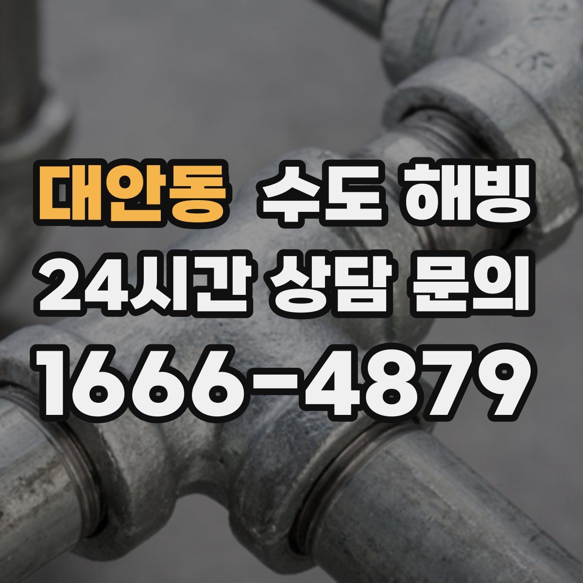 대안동 수도 해빙