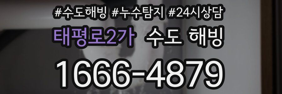 태평로2가 수도 해빙