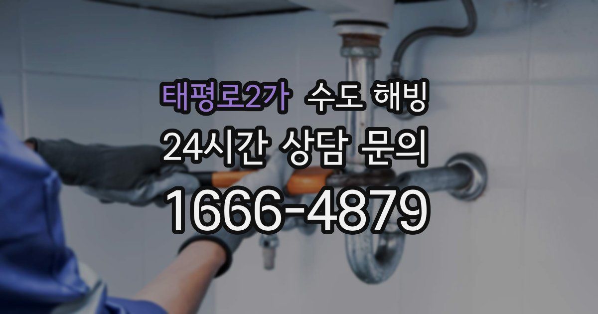 태평로2가 수도 해빙