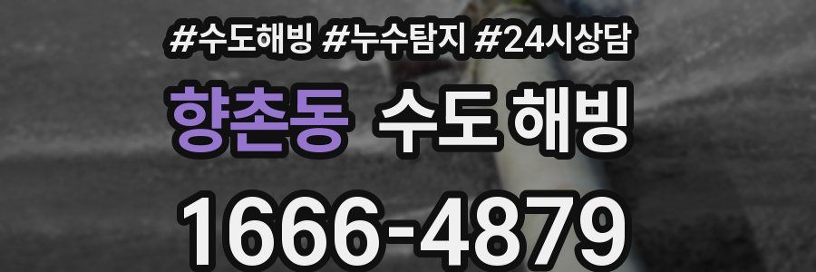 향촌동 수도 해빙