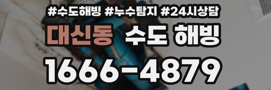 대신동 수도 해빙