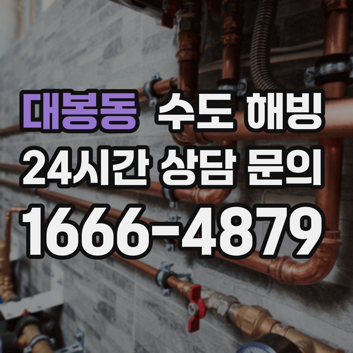 대봉동 수도 해빙