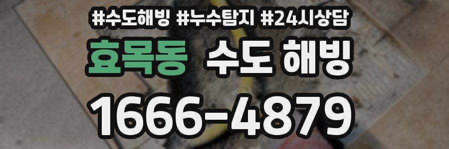 효목동 수도 해빙