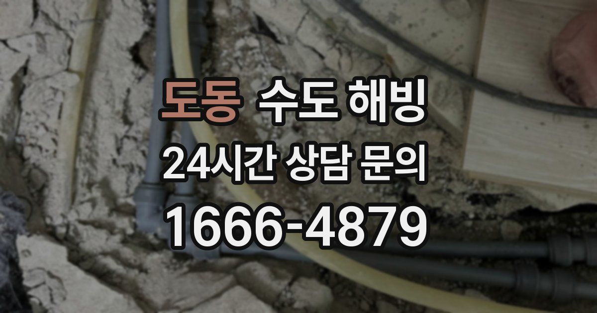 도동 수도 해빙