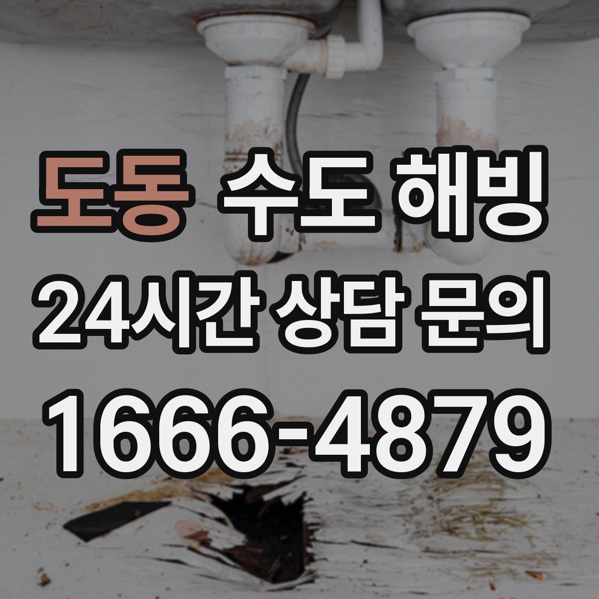 도동 수도 해빙