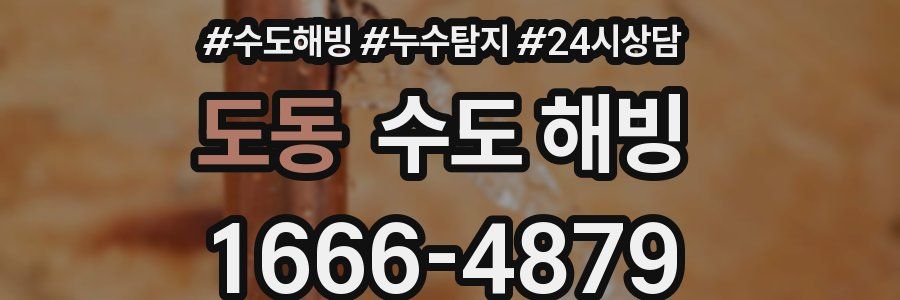 도동 수도 해빙