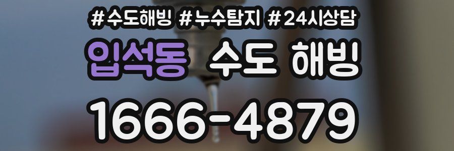 입석동 수도 해빙