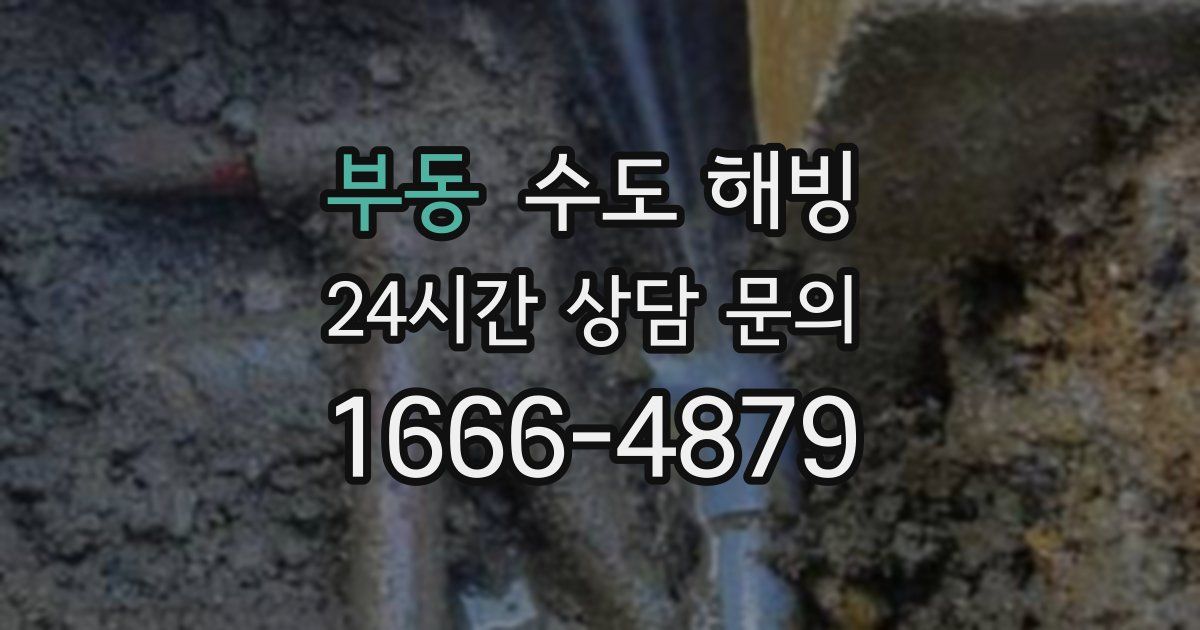 부동 수도 해빙