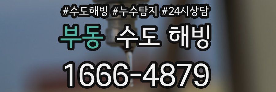 부동 수도 해빙