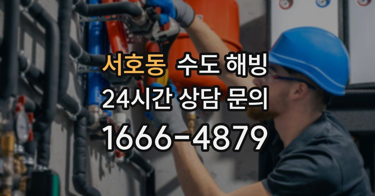 서호동 수도 해빙
