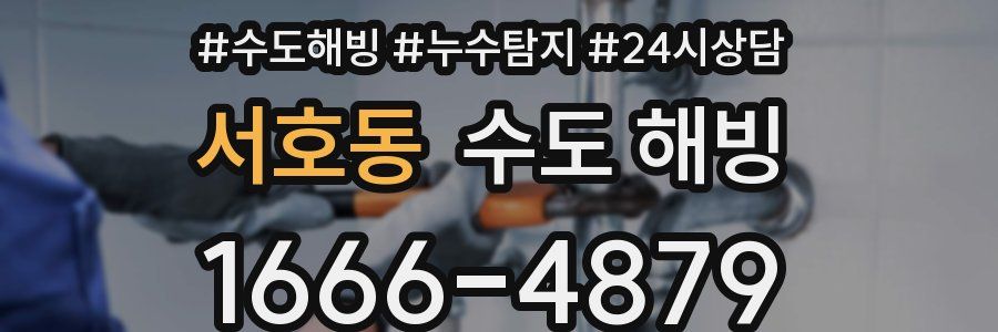 서호동 수도 해빙