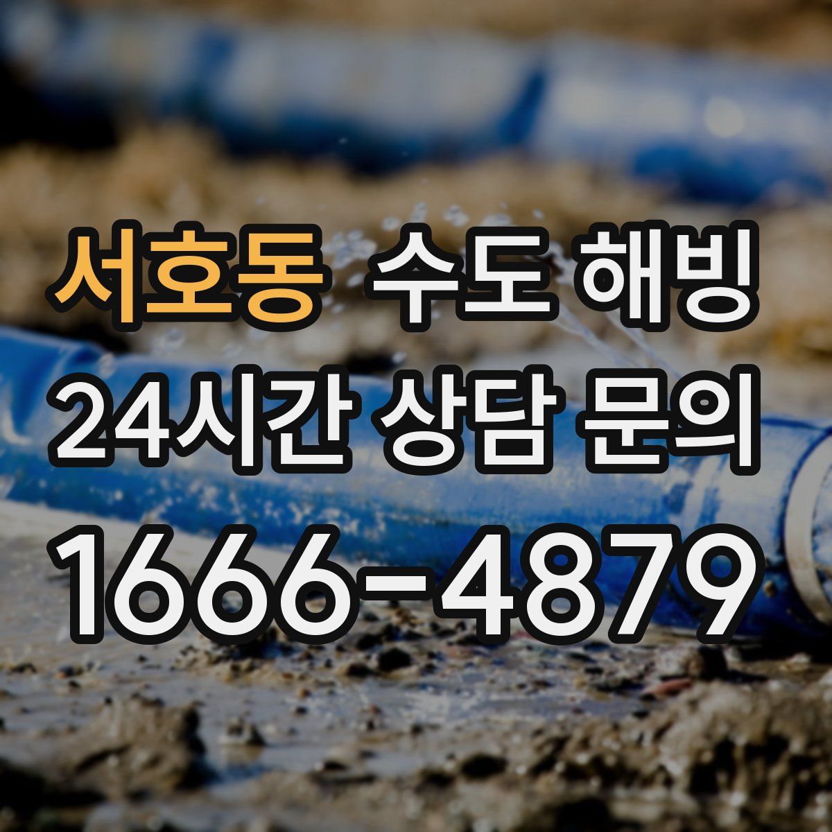 서호동 수도 해빙