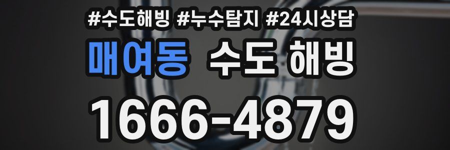 매여동 수도 해빙