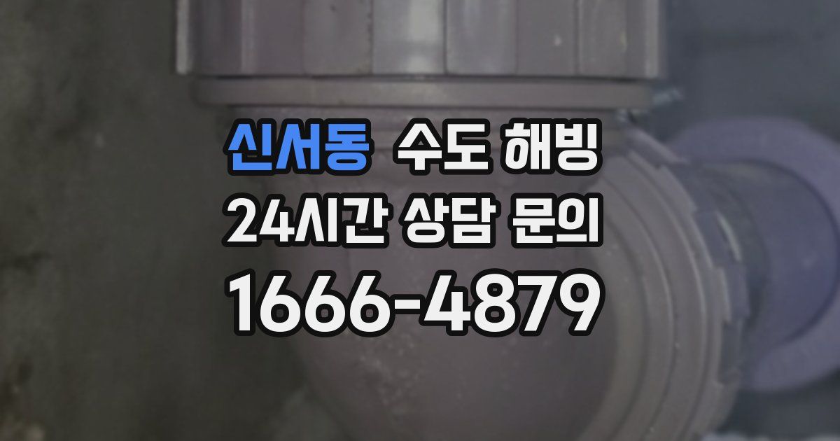 신서동 수도 해빙