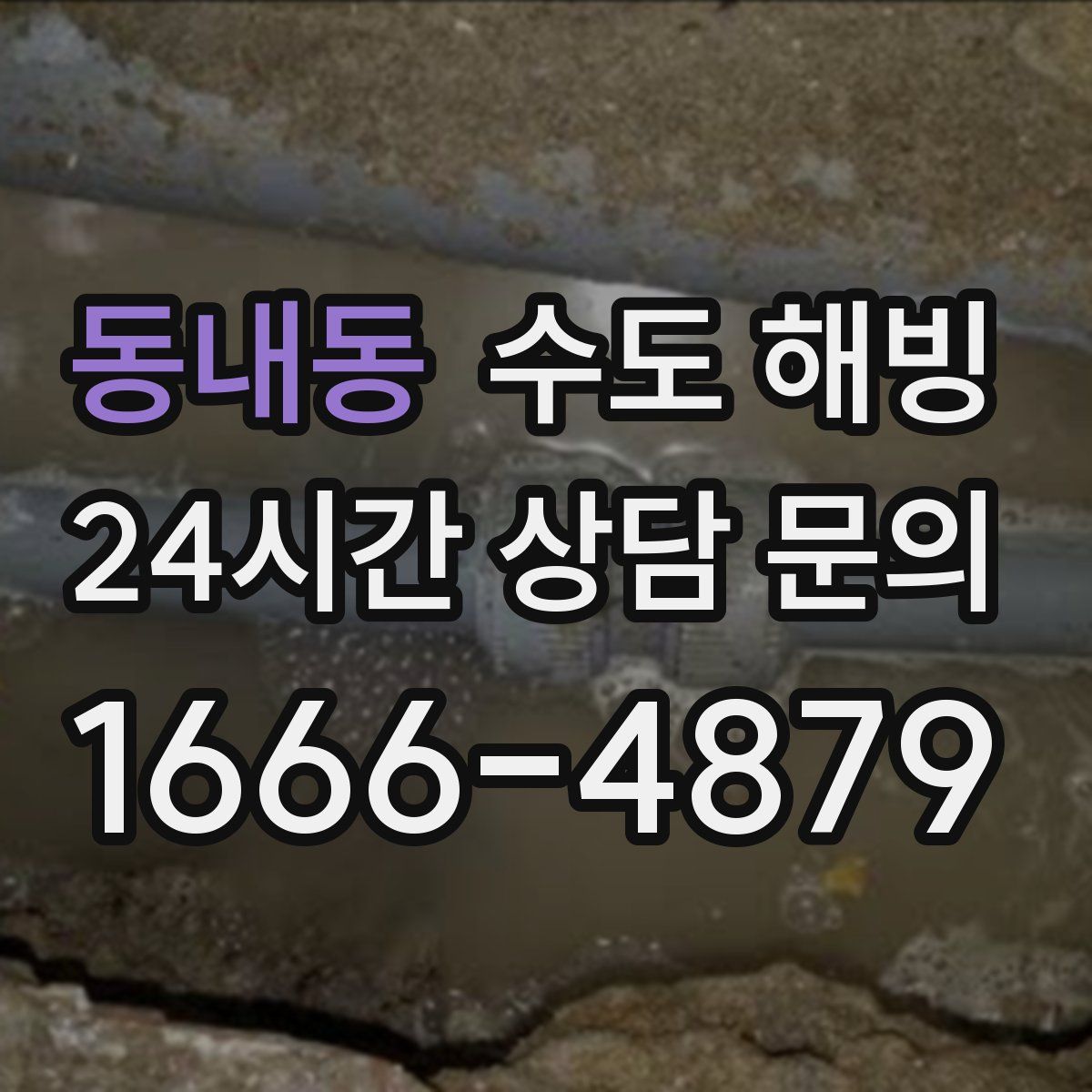 동내동 수도 해빙