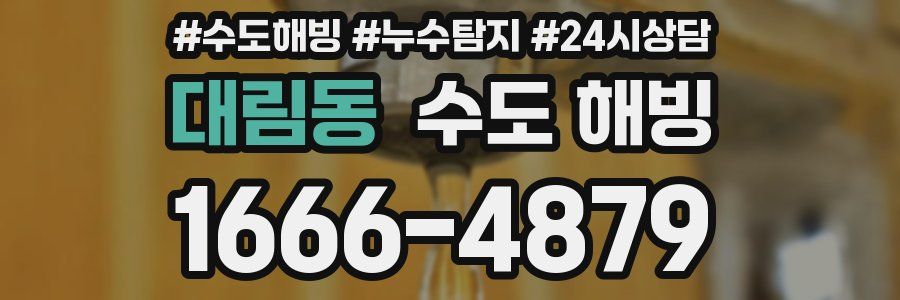 대림동 수도 해빙