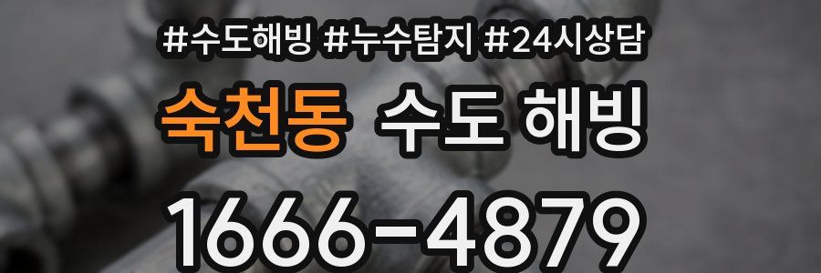 숙천동 수도 해빙