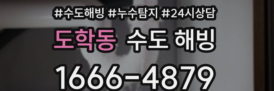 도학동 수도 해빙