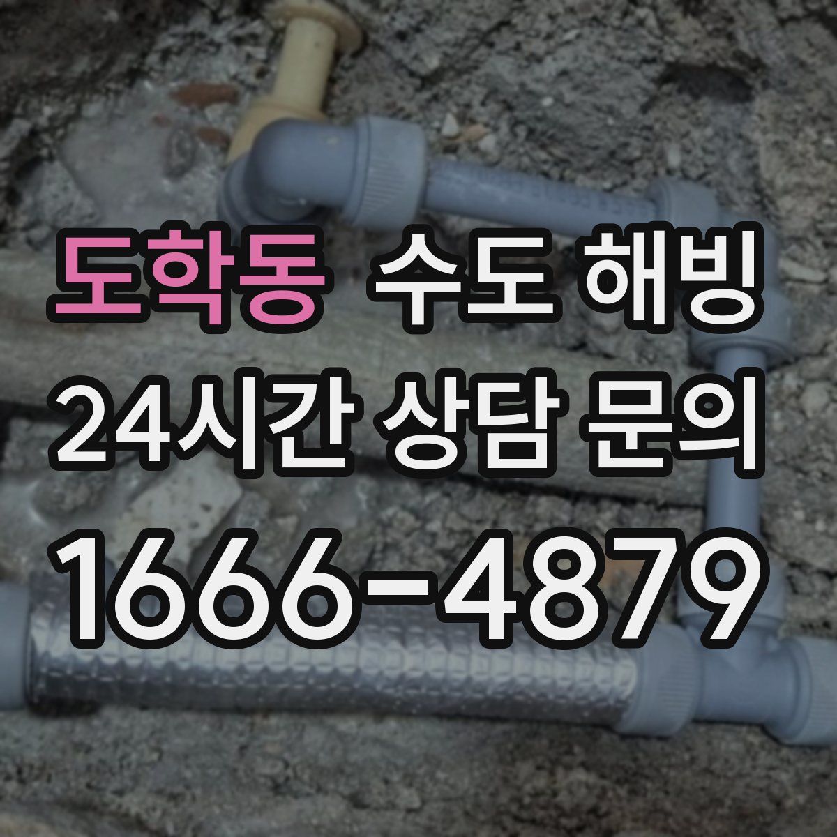 도학동 수도 해빙