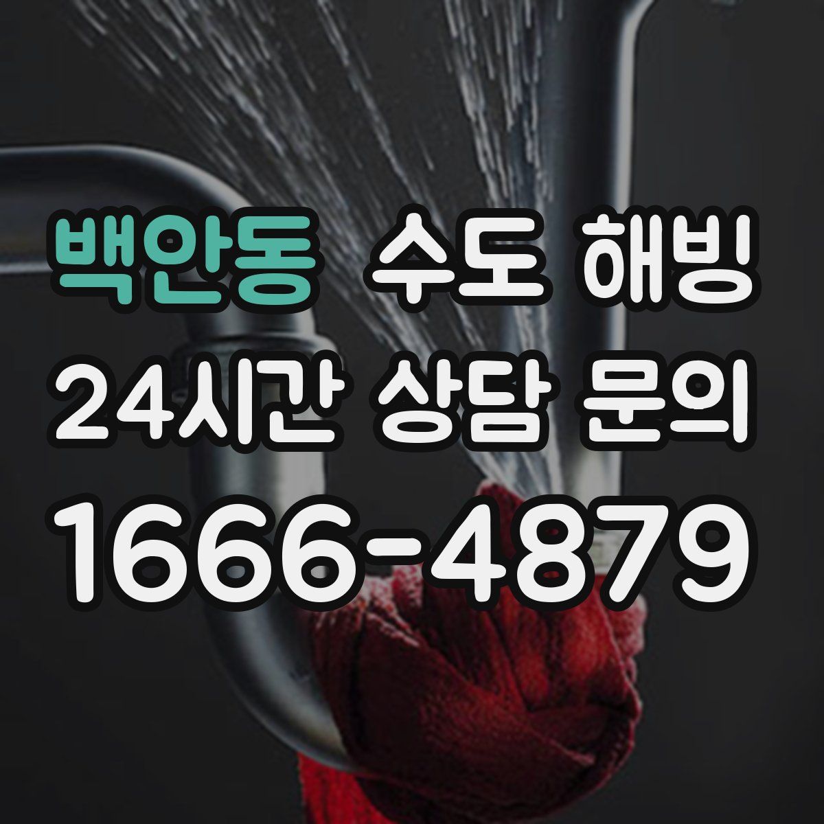 백안동 수도 해빙