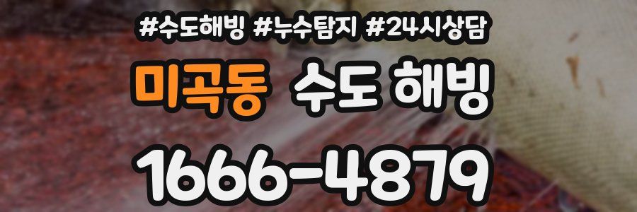 미곡동 수도 해빙