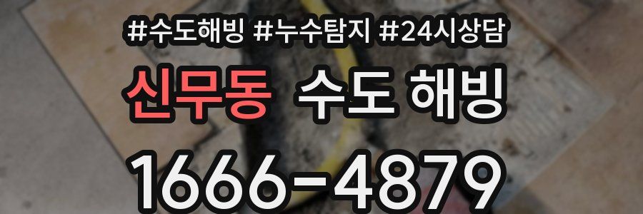 신무동 수도 해빙