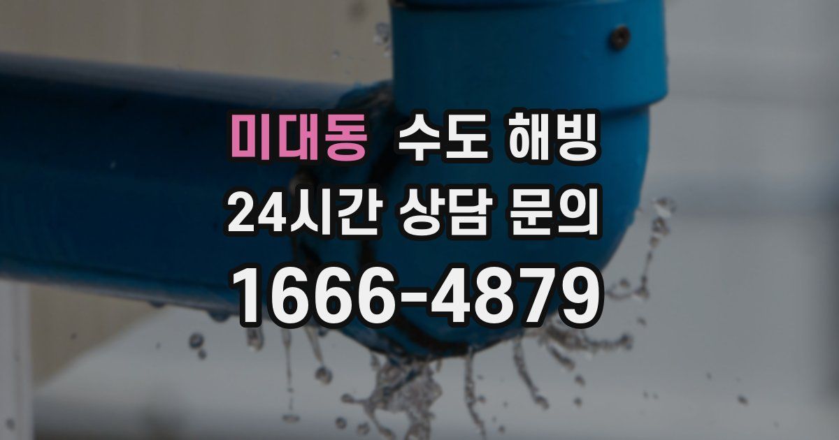 미대동 수도 해빙