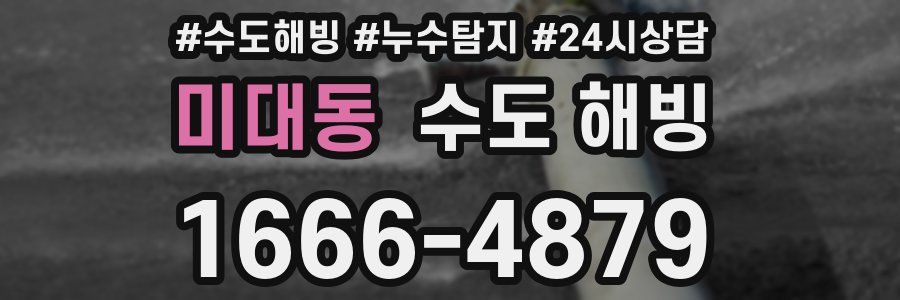 미대동 수도 해빙