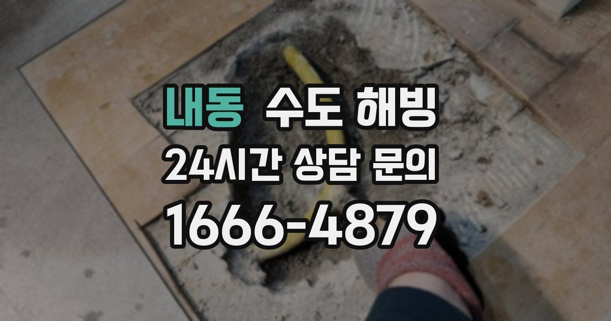 내동 수도 해빙