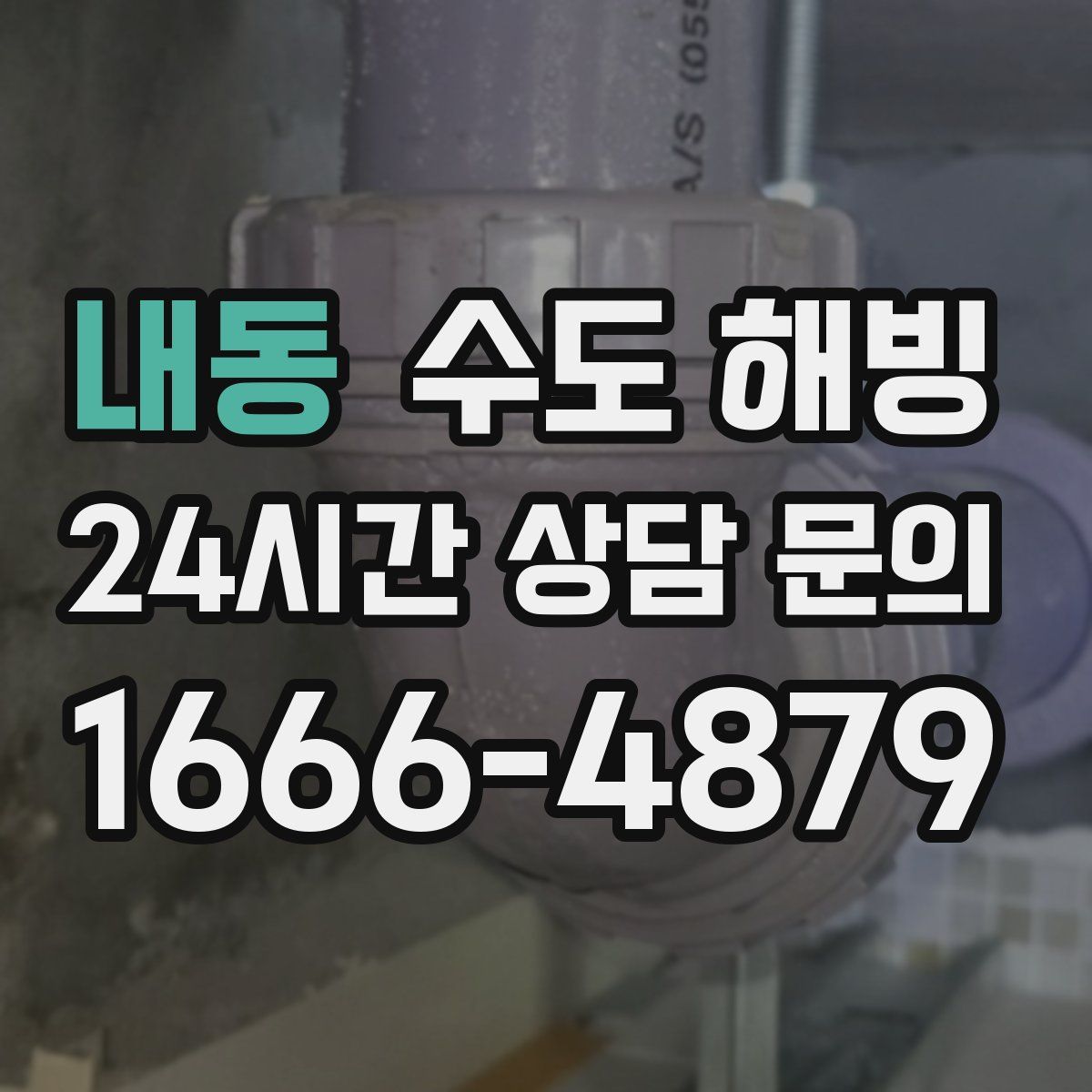 내동 수도 해빙