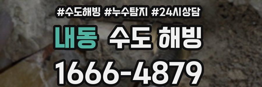 내동 수도 해빙