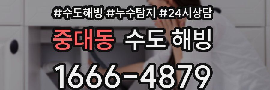 중대동 수도 해빙