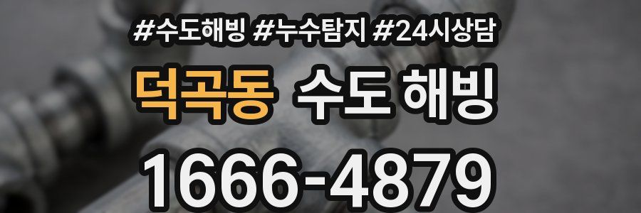 덕곡동 수도 해빙