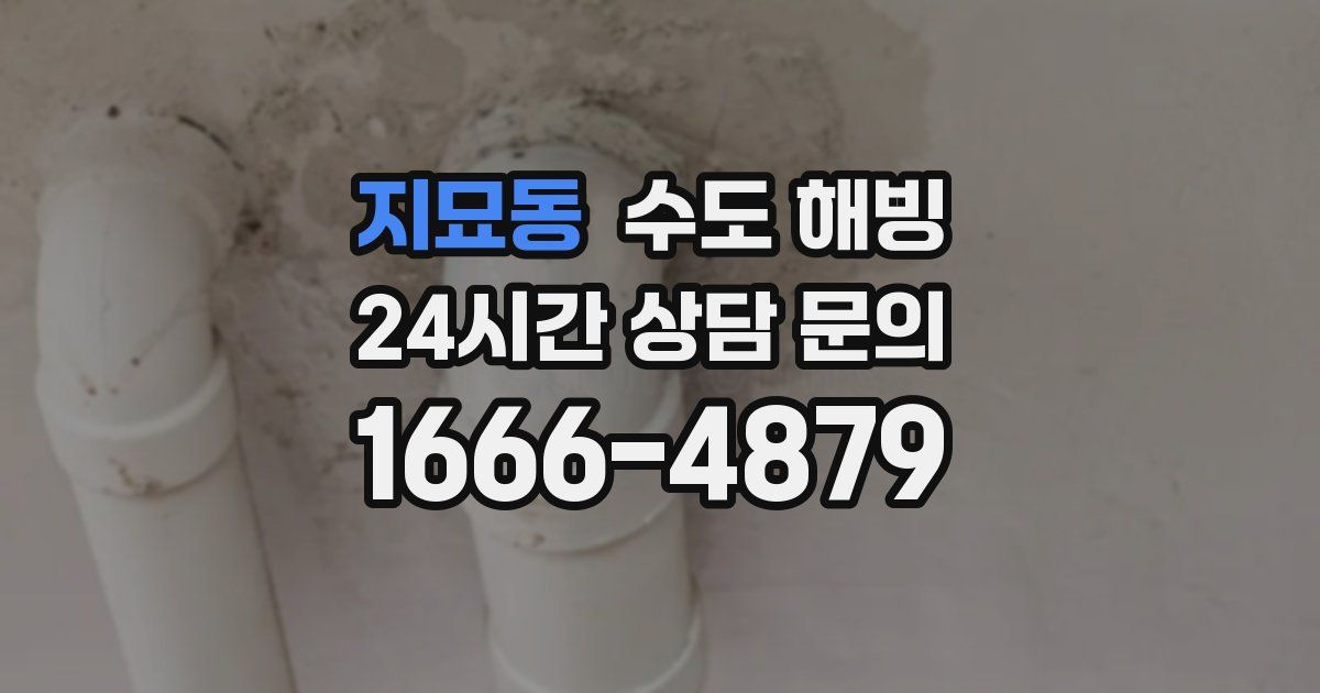 지묘동 수도 해빙